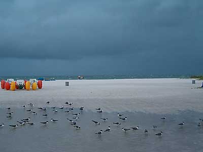 A storm approaches the beach from the gulf - Photo by Jeff Williams